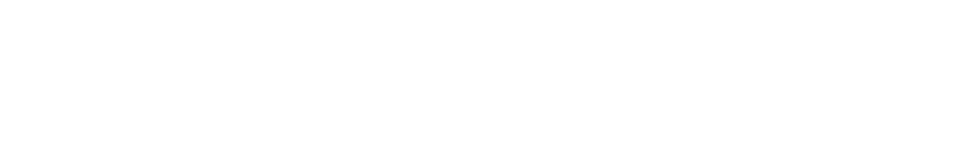Elementra - Web Agency